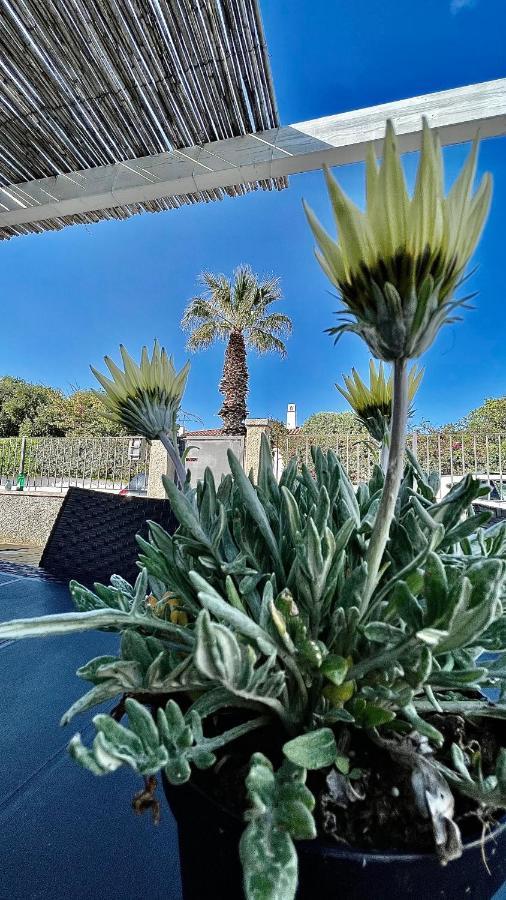 Villa Bouganville Àrbatax Εξωτερικό φωτογραφία